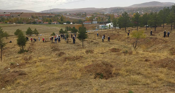 Büyükşehir, Bünyan'da Öğrencilerle 1000 Adet Ağaç Dikti
